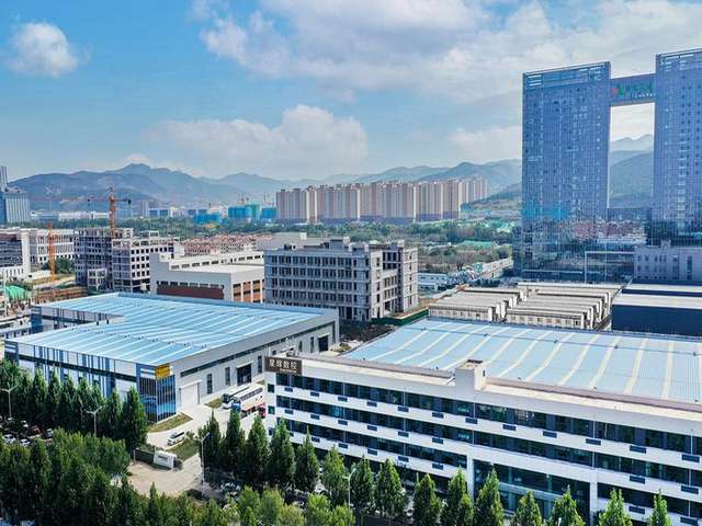 山东景观植物墙报价