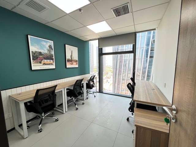 后宰门专业宠物医生咨询