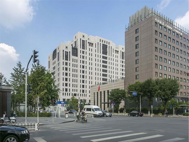 广州认识绿化树哪家便宜