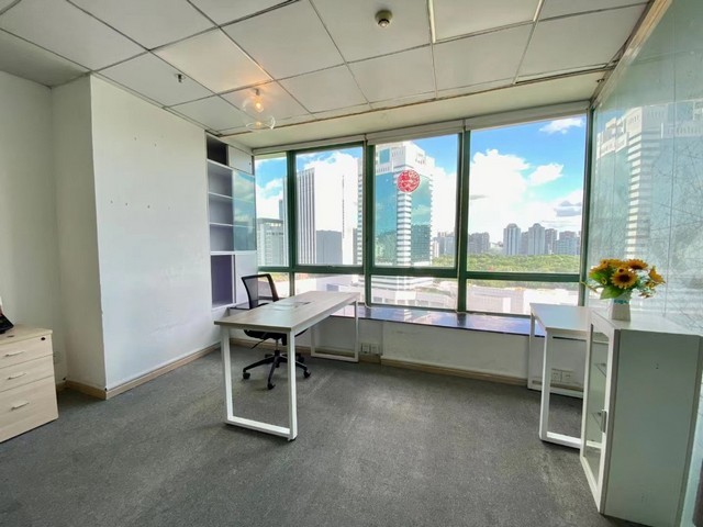 山东药用级巴西棕榈蜡