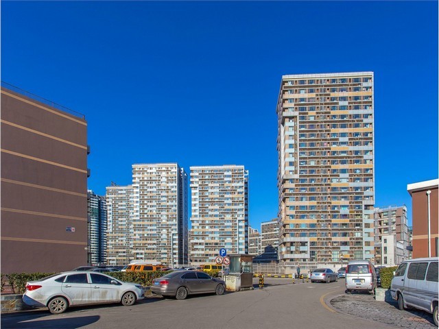 波海灭绝琥珀鉴别方法