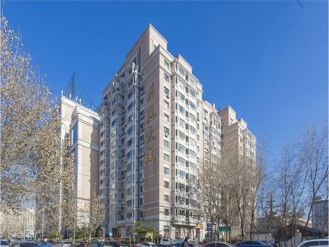 晋江办公绿植批发