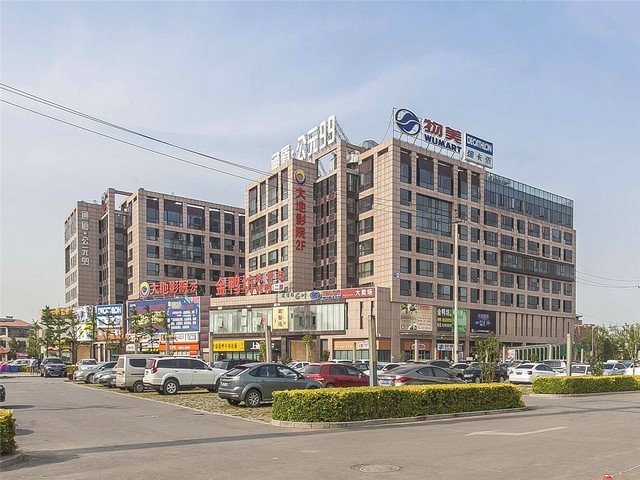 8公分樱桃果树苗供应价格